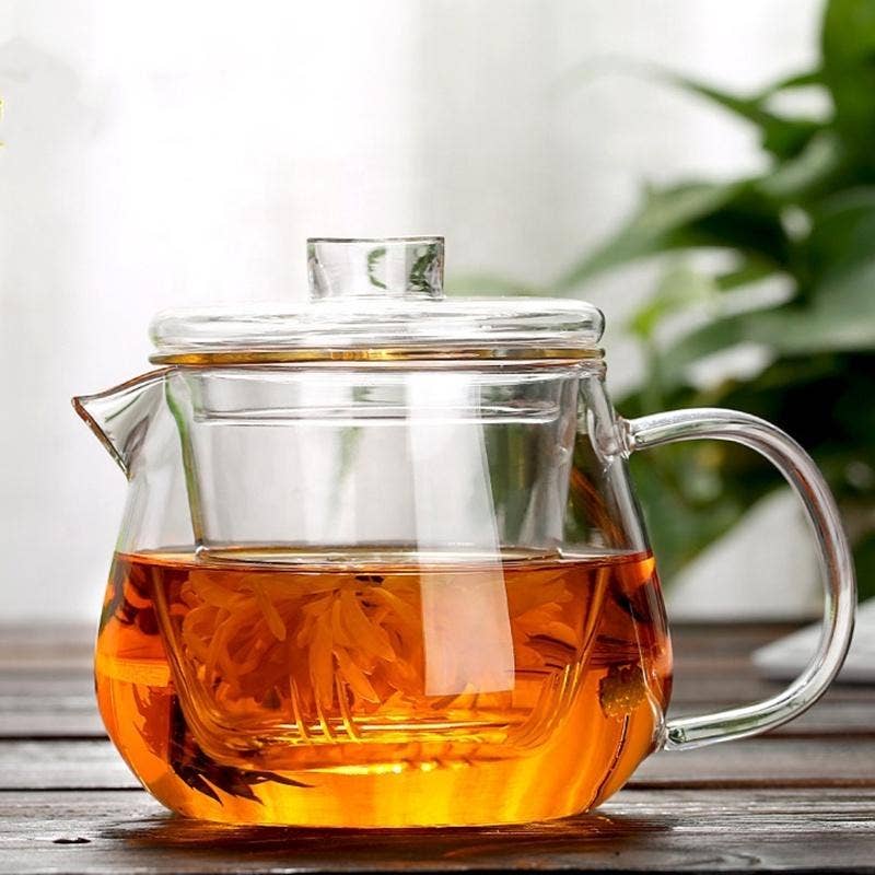 Glass Teapot With Infuser and Lid16oz