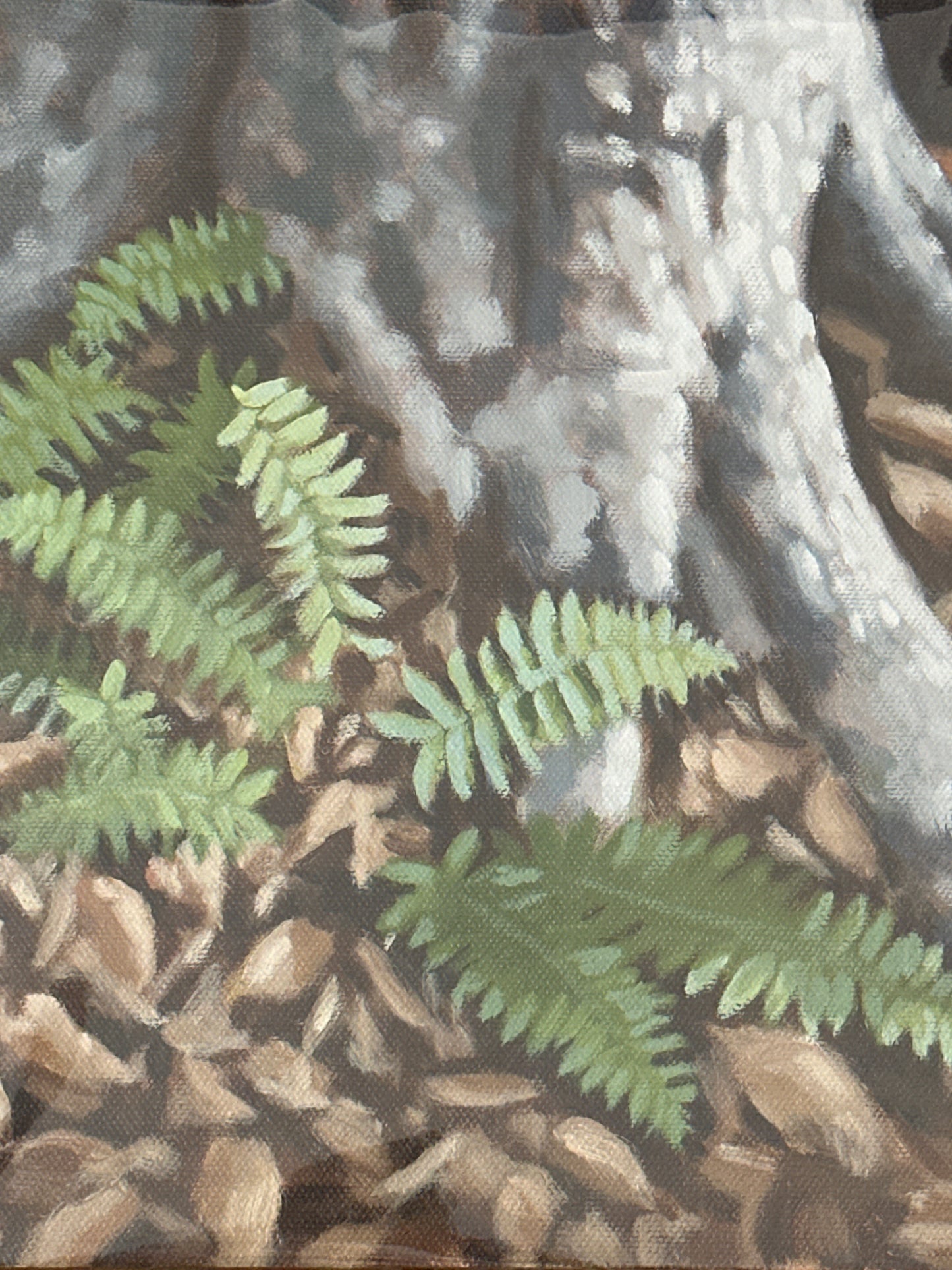 8x10 Tom Mather Original Oil Paintings
