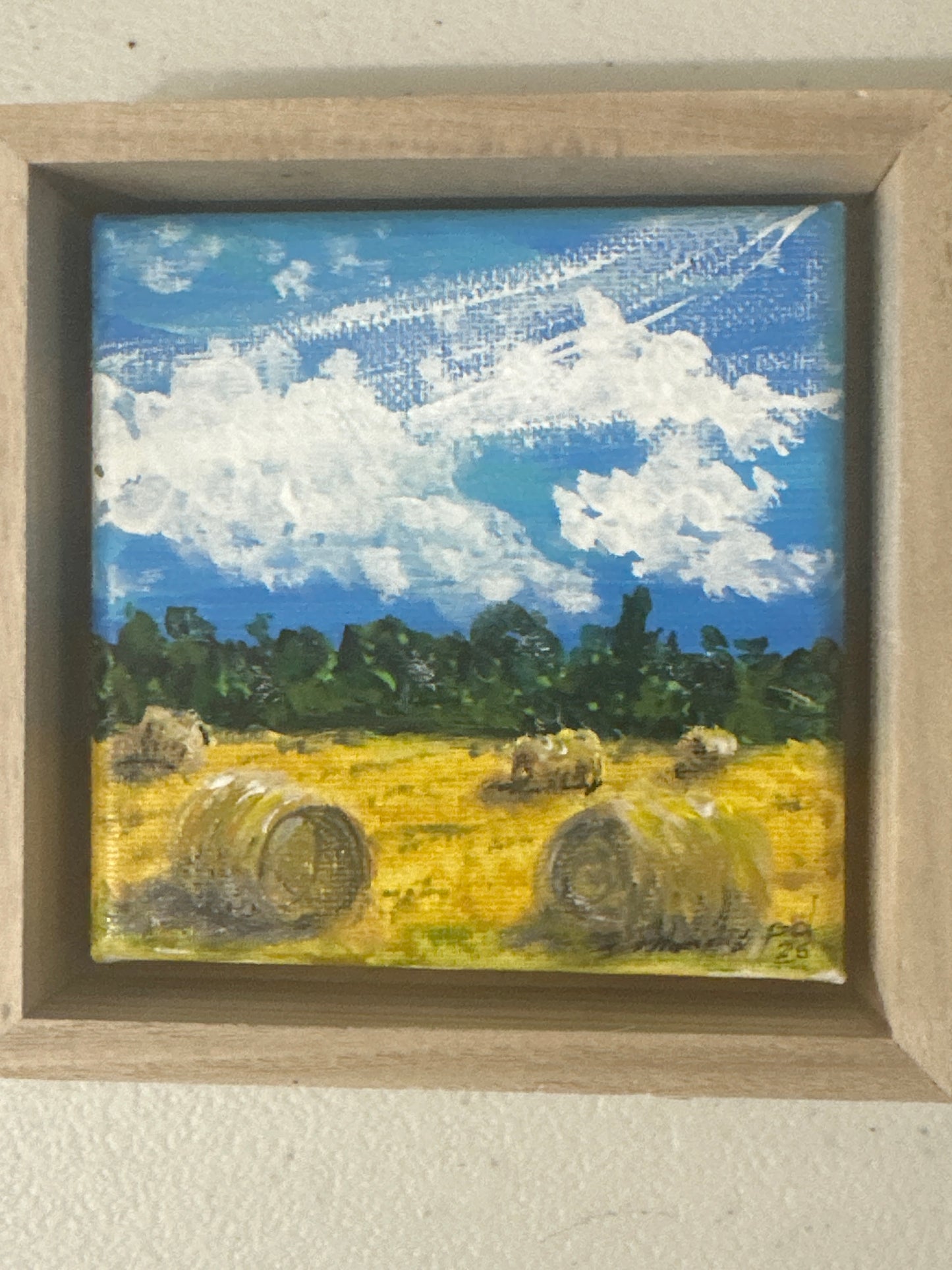 Peggy DePasquale Paintings