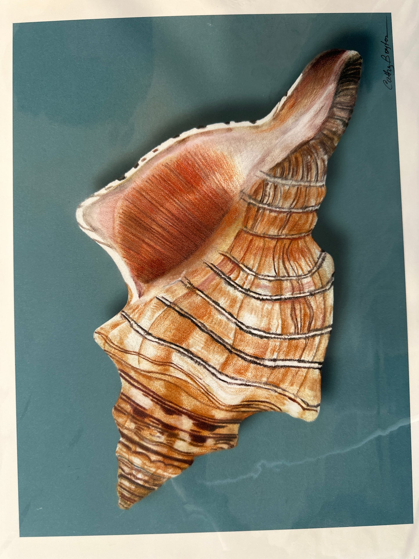 Cathy Boytos Matte Giclee Prints 9x12